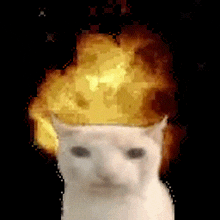 a pixelated image of a white cat with a fireball coming out of its head