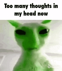 a green cat with a lot of thoughts in its head is looking at the camera .