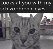 Schizophrenic Looks At You GIF - Schizophrenic Looks At You Looks At You With My Schizophrenic Eyes GIFs