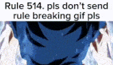 Rule 514 Goku GIF