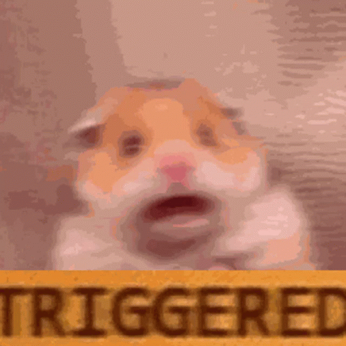 Hamster Triggered GIF - Hamster Triggered Rage GIFs
