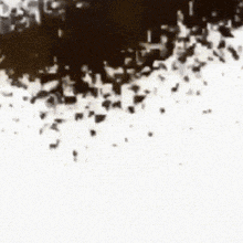 a black and white photo of a pile of dirt on a white surface