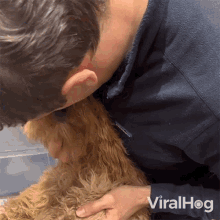 Kissing My Dog Viralhog GIF - Kissing My Dog Viralhog I Love My Dog GIFs