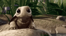 So Cute Turtle GIF - So Cute Turtle GIFs