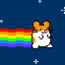 Siivagunner Nyan Cat GIF - Siivagunner Nyan Cat The Hampster Dance Song GIFs