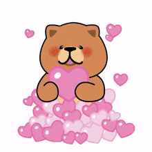 animal bear cute heart love animal bear cute heart love