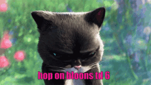 Puss In Boots Puss In Boots Eyes GIF