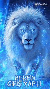 a picture of a lion with blue eyes and the words berfin giris yapi
