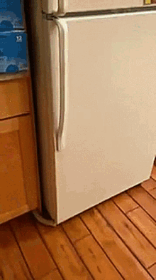 GIF