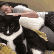 Lazy Nap GIF - Lazy Nap Cat GIFs