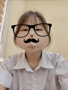 a girl wearing glasses and a fake mustache makes a face
