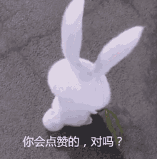 Cute Bunny GIF - Cute Bunny Adorable GIFs