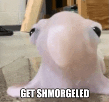 a close up of a white frog with a caption that says `` get shmorged '' .