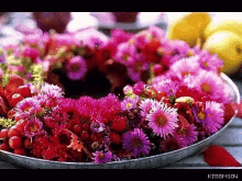 Flower Sparkle GIF - Flower Sparkle Nature GIFs