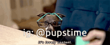 a dog wearing glasses is sitting at a table with the hashtag @pupstime