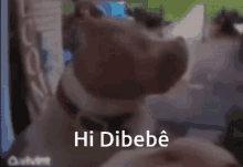 Dibebe GIF - Dibebe GIFs