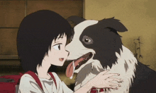 a girl holding a black and white dog with its tongue hanging out