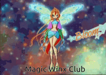 winx club shiny fairy cartoon