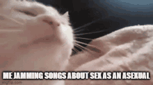 Meme Me Jamming To Songs About Sex As An Asexual GIF - Meme Me Jamming To Songs About Sex As An Asexual Asexual GIFs
