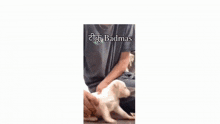 Tinku Badmash Dog Dancing GIF - Tinku Badmash Dog Dancing Dog GIFs