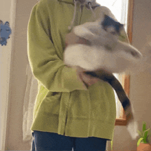 a person in a green hoodie is holding a cat in their arms