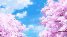 a tree with pink flowers against a blue sky with clouds