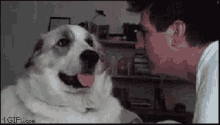 Dia Do Veterinário GIF - Dog Slap Get Out Of My Face GIFs