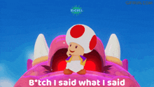 Toad Paint The Town Red GIF