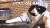 Pyky GIF - Pyky GIFs