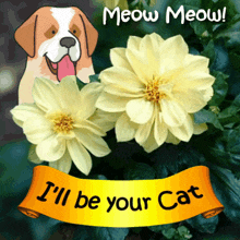 Meow Meow I'Ll Be Your Cat GIF - Meow Meow I'Ll Be Your Cat Caturday GIFs