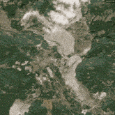 Akbelen Akbelen Ormanı GIF - Akbelen Akbelen Ormanı Muğla GIFs