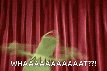 Kermit Kermit Meme GIF - Kermit Kermit Meme Kooloveememes GIFs