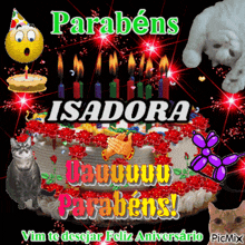 a picture of a birthday cake with the name isadora