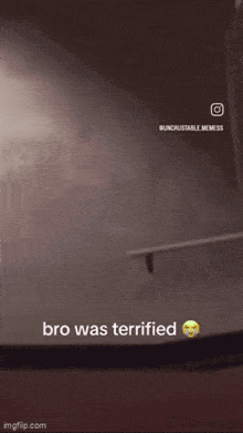 a man in a blue mask with a green top hat on his head says " bro was terrified "