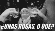 Amigos Celebrando Con Rusas GIF - Rusas Alcohol Peda GIFs