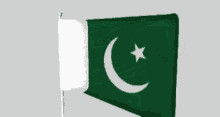 Flag Waving Flag GIF - Flag Waving Flag Love Pakistan GIFs