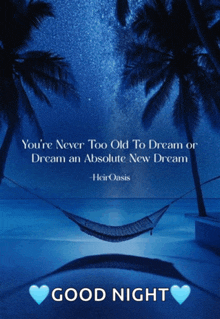a quote from heir oasis that says you 're never too old to dream or dream an absolute new dream good night