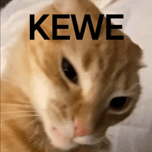 Kewe GIF - Kewe GIFs