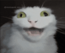 a close up of a white cat 's face with misani music written on the bottom