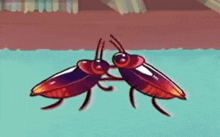a couple of cockroaches standing next to each other on a blue surface .
