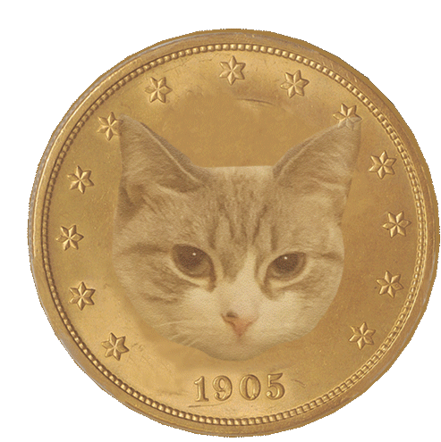 Taffy Taffy Coin Sticker - Taffy Taffy Coin Cat Coin Stickers
