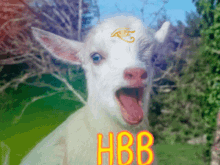 Habibi Goat GIF - Habibi Goat Habibigoat GIFs