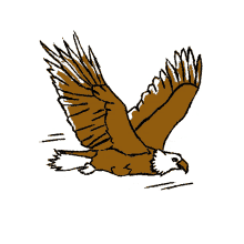 flap eagle