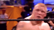 Brock Lesnar Paul Heyman GIF - Brock Lesnar Paul Heyman Hold Me Back GIFs