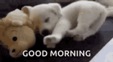 Morning Cuddle GIF - Morning Cuddle GIFs