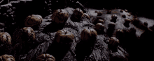 a happy halloween greeting card with pumpkins and ghosts .