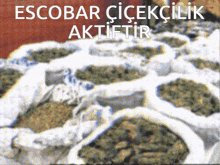 escobar çiçekcilik aktifir is written on the top of a pile of bags