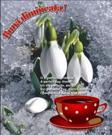 a red cup of coffee sits on a saucer next to a bunch of snowdrop flowers
