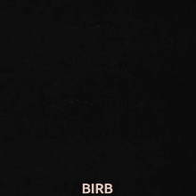 bird kmd birb