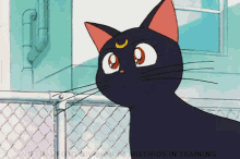 Sailor Moon Luna GIF - Sailor Moon Luna Cat GIFs